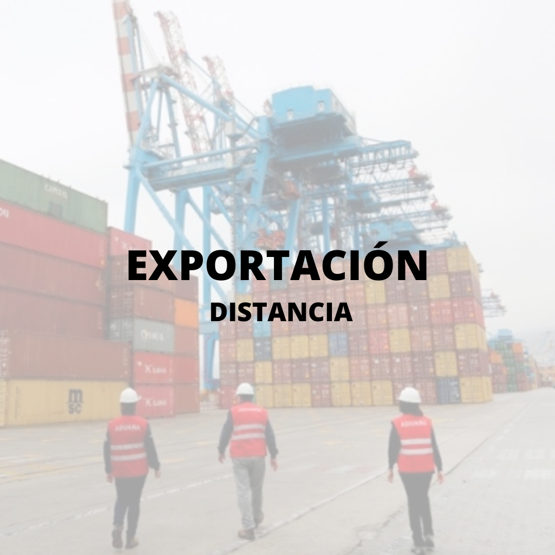 Exportación 2024 DISTANCIA