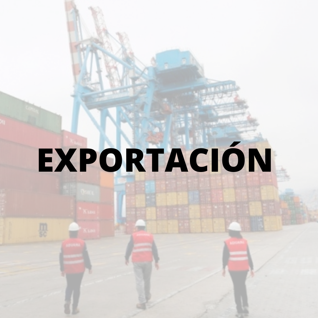Exportación PRESENCIAL